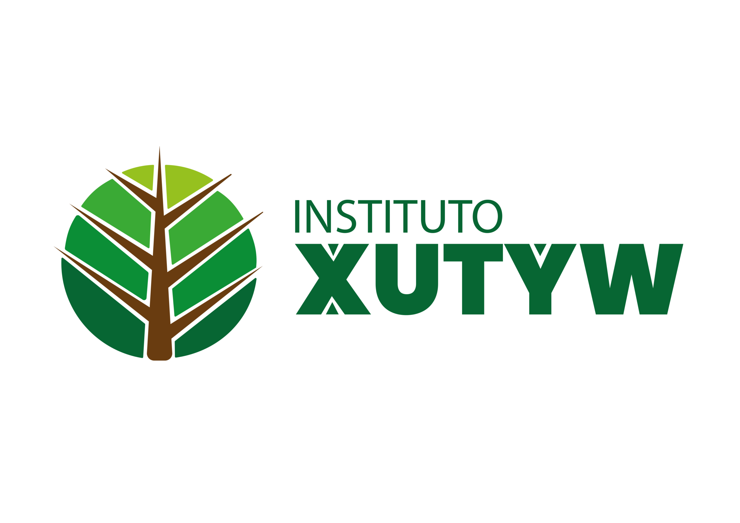 Instituto Xutyw