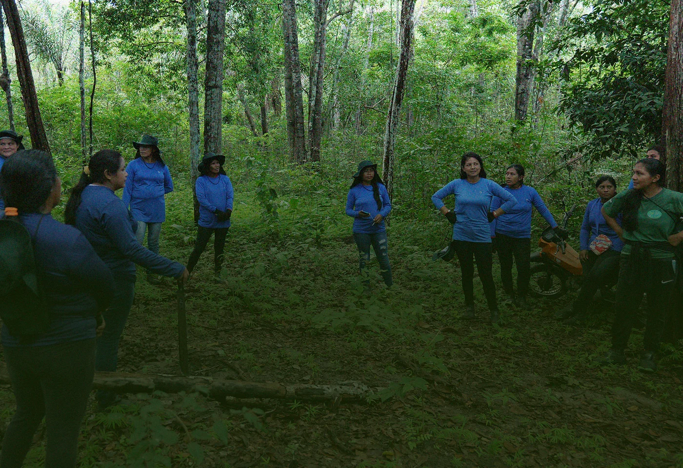 Indigenous women gathered in a circle in the forest