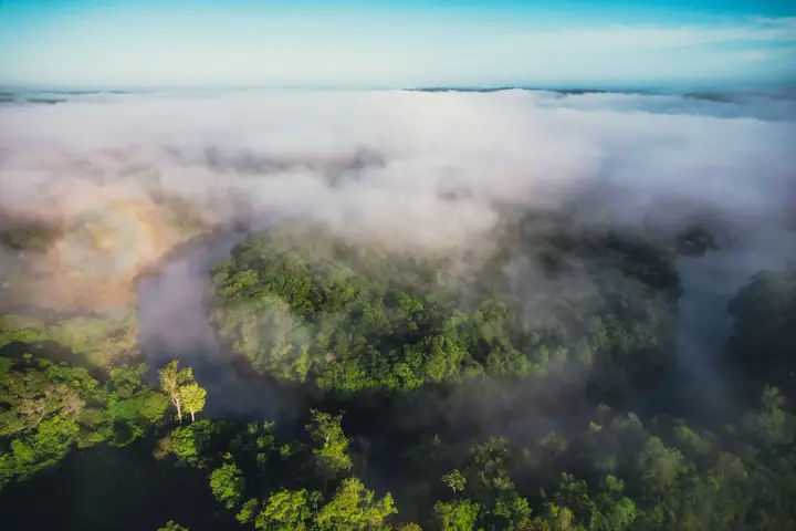 Neblina sobre a floresta, vista do alto.