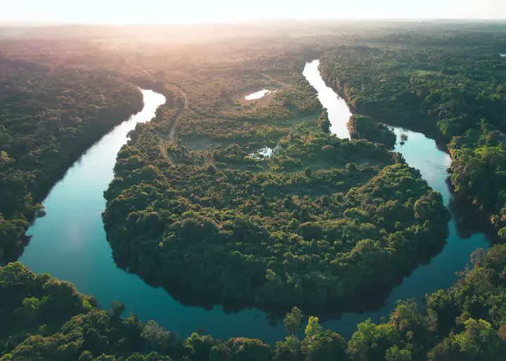 Um rio faz curvas no meio da floresta.