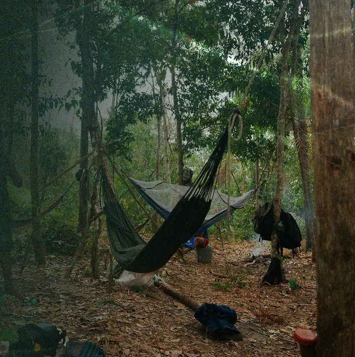 Acampamento na mata, com redes armadas entre as árvores.