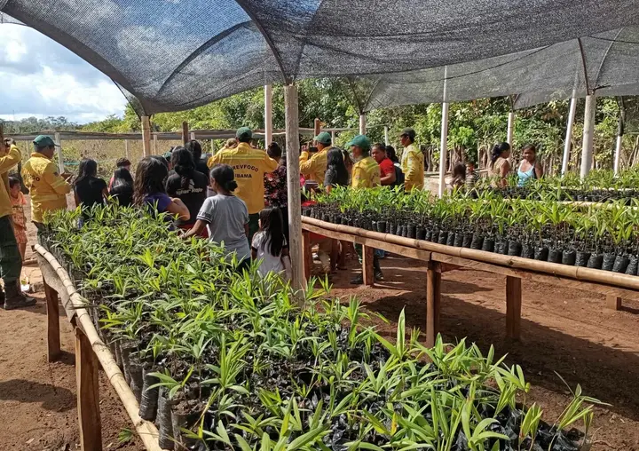 Brigadistas do Prevfogo/Ibama, crianças e moradores da aldeia no viveiro, em junho de 2025.
